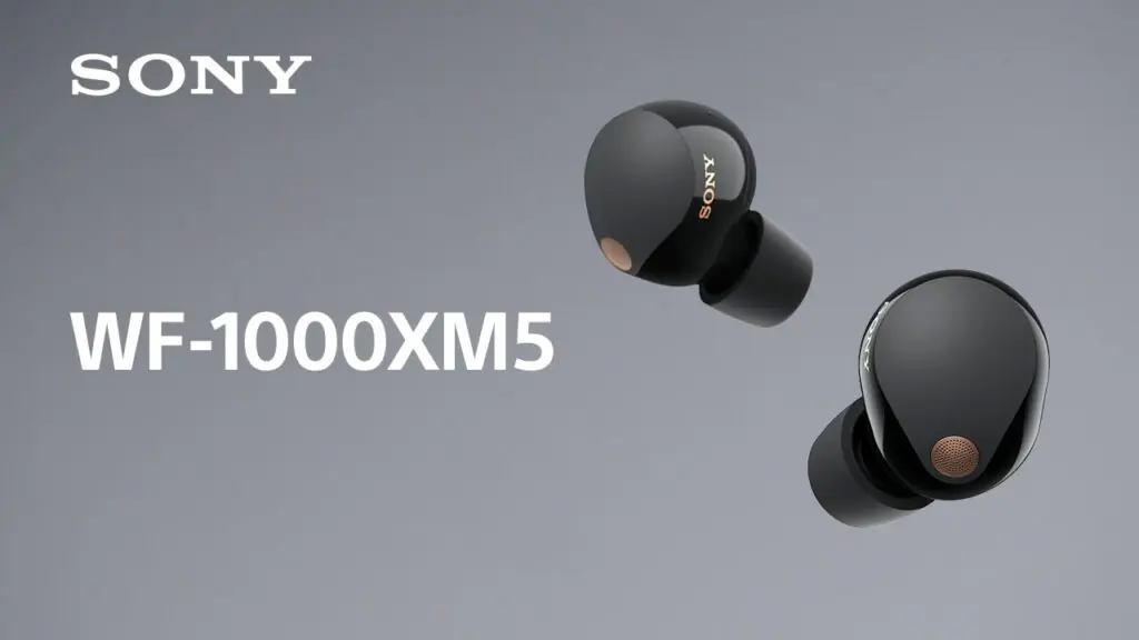 Sony WF-1000XM5 earbuds