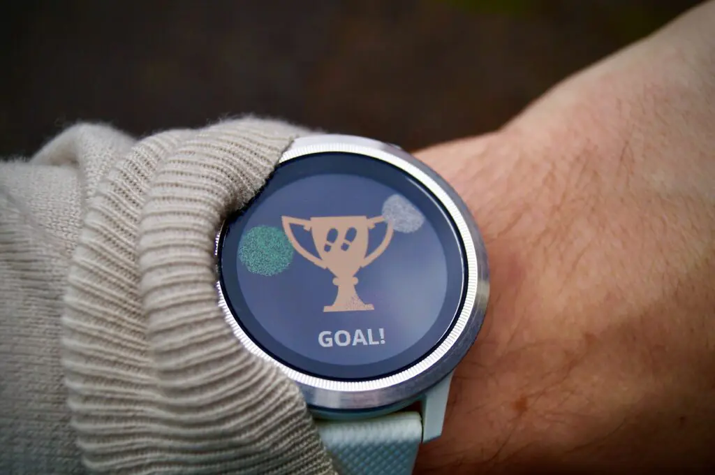budget fitness trackers